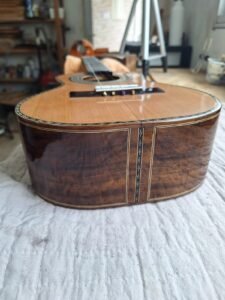 Cavaquinho profissional