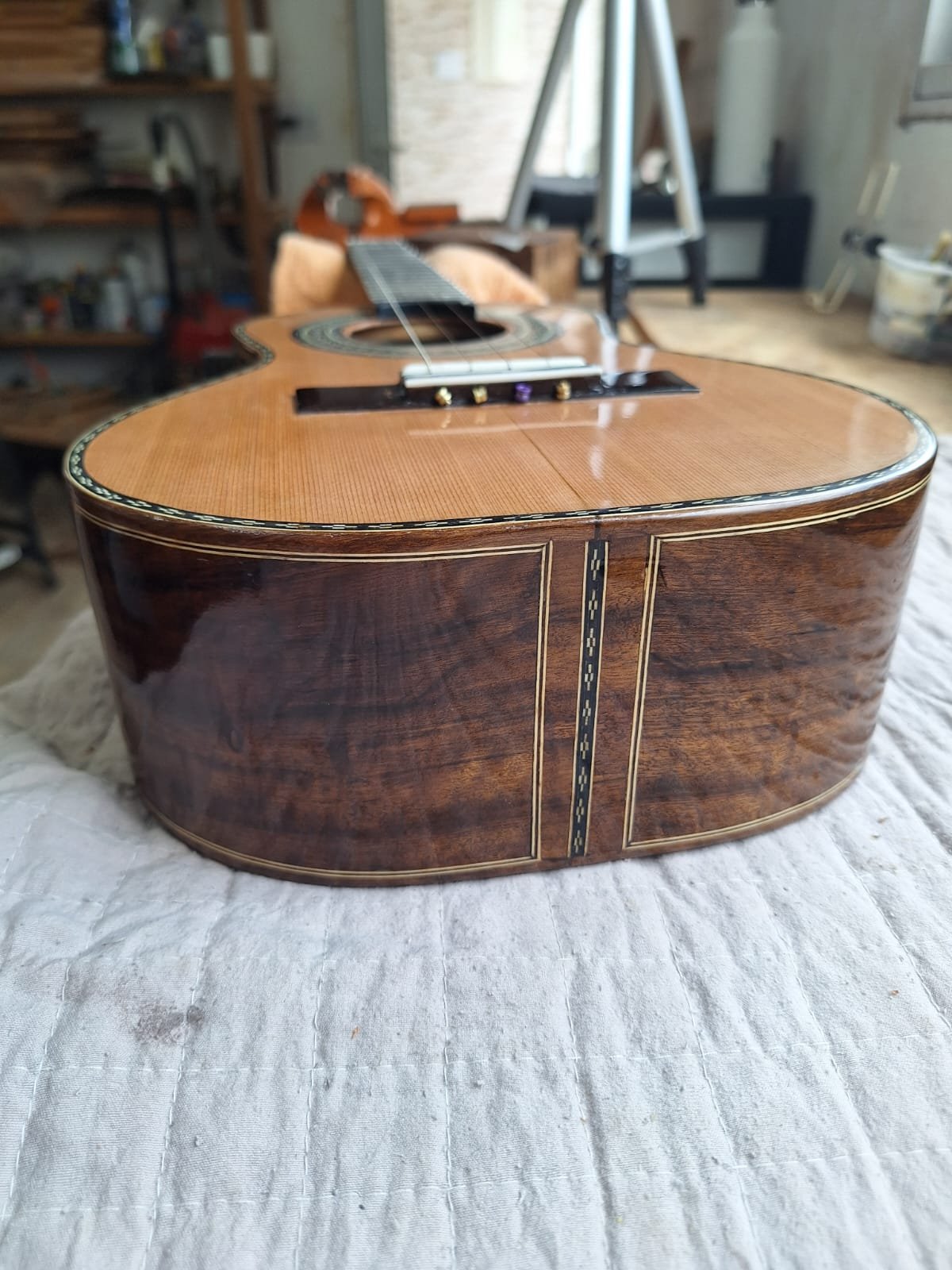 Cavaquinho profissional