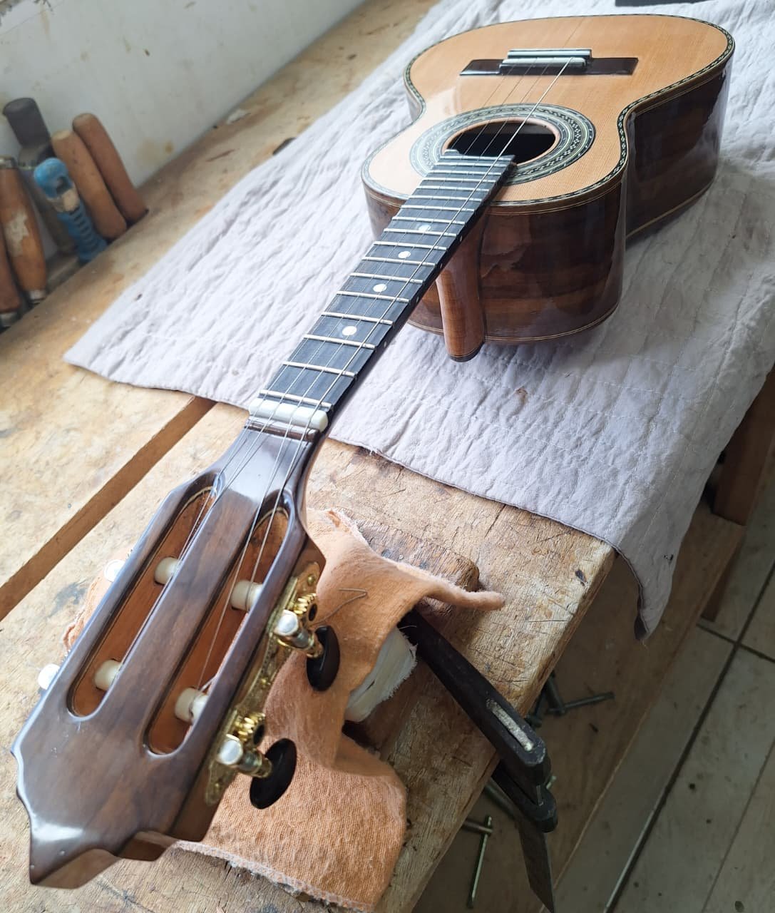 Cavaquinho profissional