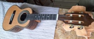 Cavaquinho profissional