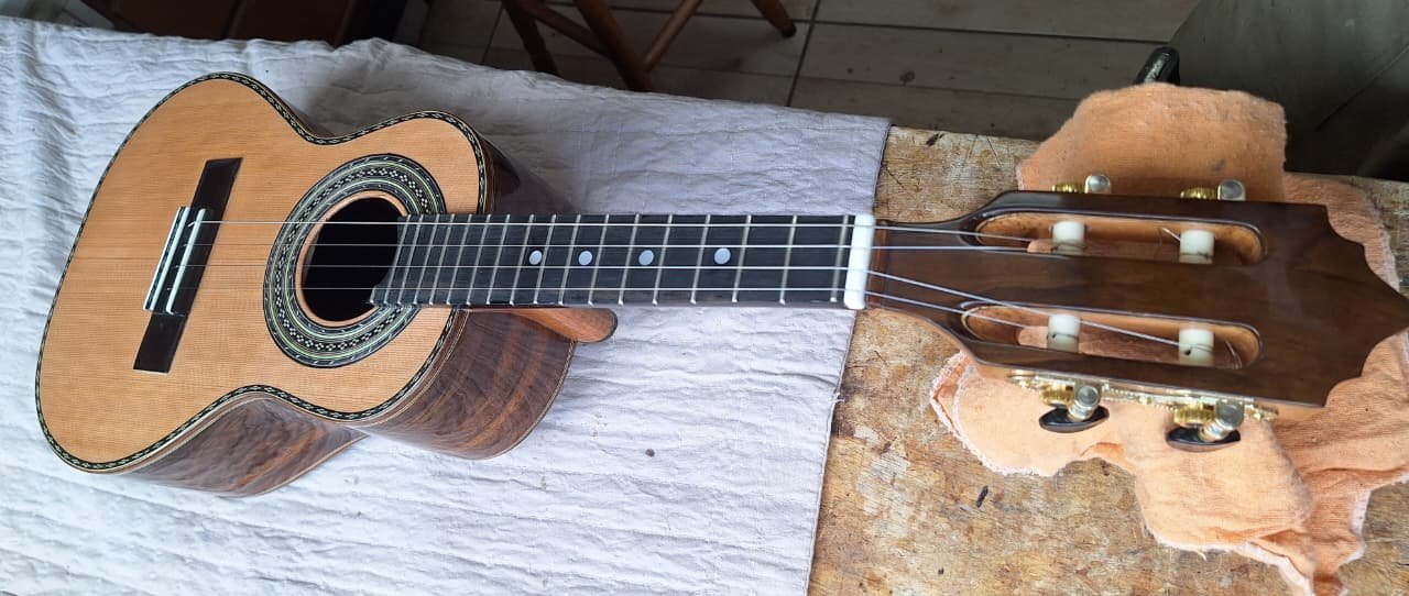 Cavaquinho profissional