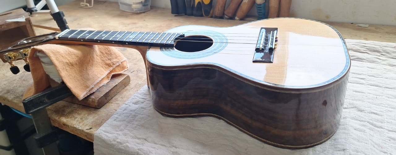 Cavaquinho profissional
