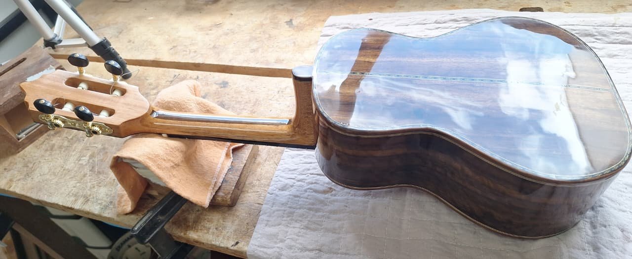 Cavaquinho profissional