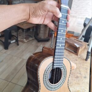 Cavaquinho profissional