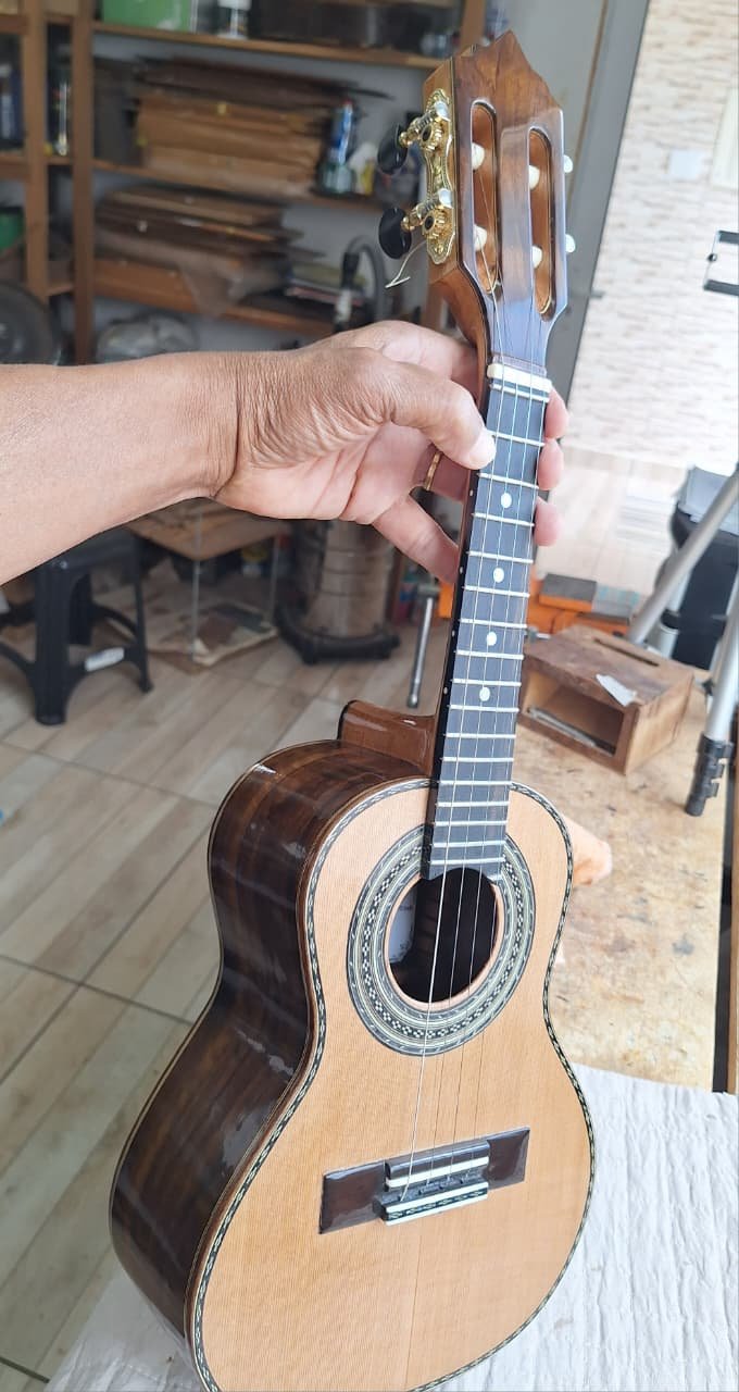 Cavaquinho profissional