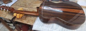 Cavaquinho profissional
